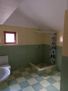 Koupelna v ubytování Vila Anir