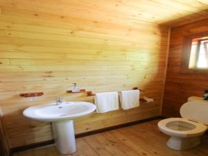 a bathroom with a sink and a toilet in a log cabin at Mountain Fly Fishing in Magoebaskloof