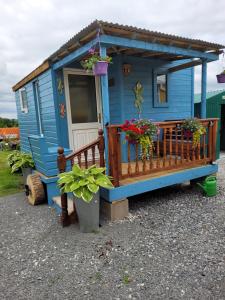 a blue tiny house with a porch and flowers at Wedger's Hut in Nenagh