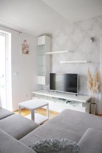 TV a/nebo společenská místnost v ubytování Apartments Keko