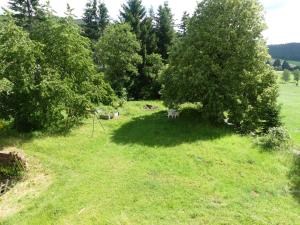 un campo de hierba con árboles y una sombra en Fewo Im gruenen Eck 1, en Airlenbach