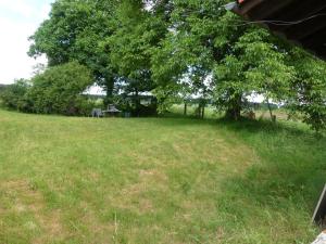 un campo de hierba con un árbol en el fondo en Fewo Im gruenen Eck 2 en Airlenbach