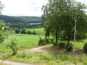 un campo con un árbol y una carretera en Fewo Im gruenen Eck 2 en Airlenbach