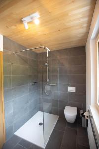 a bathroom with a glass shower with a toilet at Panoramahof Bergglück in Mellau