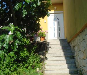 Zahrada ubytování Apartment Ivan J Selce