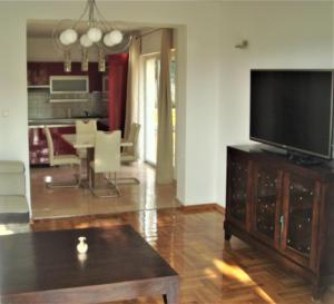 TV a/nebo společenská místnost v ubytování Apartment Ivan J Selce