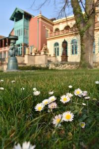 a group of flowers in the grass in front of a house at Zsolnay Negyed Vendégháza in Pécs