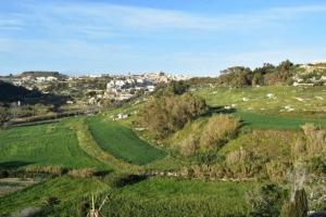 a green field with a town in the background at Ta' Salvu u Marija in Munxar