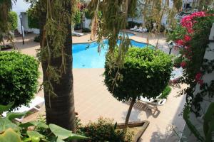 an overhead view of a pool with trees and bushes at Apartamentos Torrelaguna in Vera
