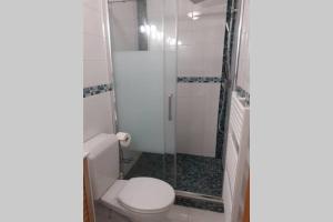 een witte badkamer met douche en toilet bij studio idéalement situé sur le Bassin d'Arcachon in La Teste-de-Buch