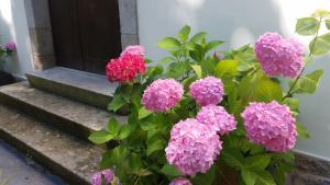 Une bande de fleurs roses devant une porte dans l'établissement Escola de Bieite, à Boimorto