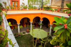 Jardí fora de Los Arrayanes
