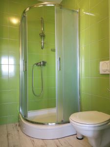 a bathroom with a shower and a toilet at Apartmani Mentha & Lipa in Novi Vinodolski +33 photos