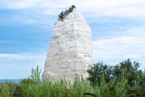 a rock tower with plants growing on top of it at Casa Colletta Vieste in Vieste