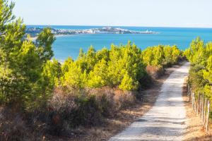 a dirt road with trees and the ocean in the background at Casa Colletta Vieste in Vieste