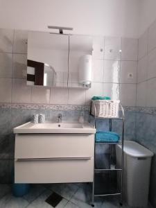 ein Badezimmer mit einem Waschbecken, einem Spiegel und einem WC in der Unterkunft Tincha in Piran