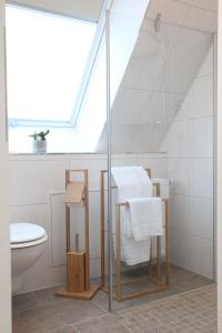 a bathroom with a glass shower and a toilet at Schwaben Apartment Plus in Oberboihingen