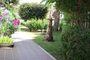 a garden with pink flowers and trees and a walkway at Apartamentos Torrelaguna in Vera