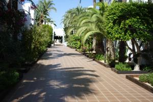 a sidewalk lined with palm trees and bushes at Apartamentos Torrelaguna in Vera