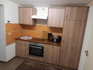 una pequeña cocina con armarios de madera y fregadero en Ferienwohnung Villa Frosch, en Meiningen