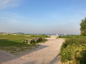 un grupo de mesas de picnic en un camino cerca de la playa en Classic bungalow by the IJsselmeer, en Workum