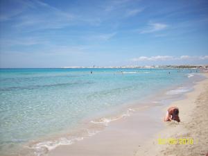Táj Show holiday homes közelében
