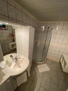 une salle de bain avec lavabo et douche dans l'établissement Apartma Sova Koper, à Koper