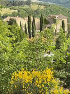 Country House Ca' di Nieri - The Saints' Lodge في Monte Santa Maria Tiberina: اطلالة على حديقة فيها اشجار وورود صفراء