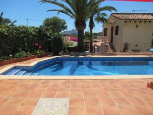 a pool with a palm tree and a house at Villa Mimosa in Moraira