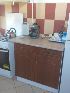 Kuchyňa alebo kuchynka v ubytovaní Ginkgo Apartman