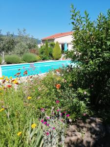 een tuin met een zwembad en bloemen bij Chèvrefeuille gîte & chambre d'hôtes in Moltig les Bains