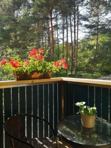 einen Tisch und Stühle auf einem Balkon mit Blumen in der Unterkunft Miško studija in Nida