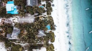 an overhead view of a beach with palm trees and the ocean at The Seles Boutique Hotel in Matemwe
