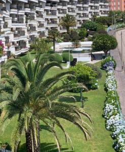 una palmera frente a un gran edificio en Estupendo apartamento en San Vicente do Mar O Grove, en San Vicente do Mar