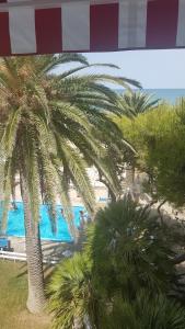 vistas a una playa con palmeras y al océano en Hotel Silvi en Silvi Marina