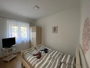 Un pat sau paturi într-o cameră la Andrea Apartman