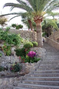 Zahrada ubytování Hotel Casablanca