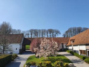 a village with a tree in the middle of a driveway at Le Domaine d'Hérambault in Montcavrel