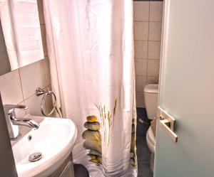 a bathroom with a sink and a toilet and a shower curtain at Olympic Hotel in Olympiada