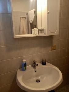 un baño con lavabo y espejo en Agriturismo Il Cipresso, en Vada