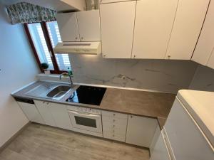 Kuchyň nebo kuchyňský kout v ubytování Apartman Beus