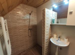 a bathroom with a shower and a sink at Royal Apartman in Hajdúszoboszló