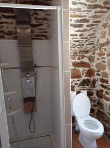 een badkamer met een toilet en een stenen muur bij Plein pied dans maison de caractère in Montjaux