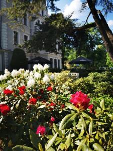 Zahrada ubytování Hotel Fryderyk