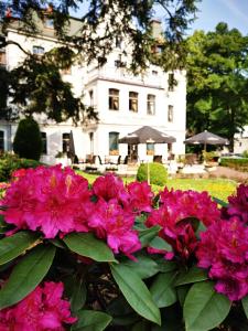 Zahrada ubytování Hotel Fryderyk