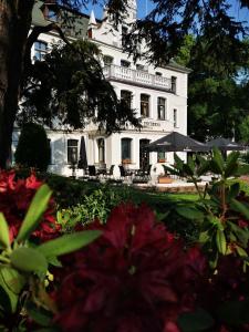 Zahrada ubytování Hotel Fryderyk