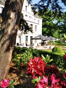 Zahrada ubytování Hotel Fryderyk