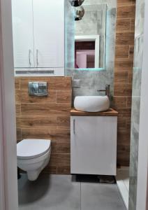 een badkamer met een wit toilet en een wastafel bij APARTAMENT KOŚCIUSZKI 1 in Mrągowo