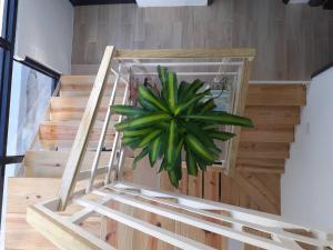 Fotografie z fotogalerie ubytování Yueli Homestay v destinaci Magong