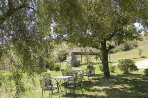 eine Gruppe von Tischen und Stühlen unter einem Baum in der Unterkunft Casale meraviglioso Val d'Orcia con piscina in Radicofani
